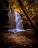 Caney Creek Falls - November 4, 2017