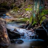 Madison County Nature Trail