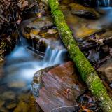 Madison County Nature Trail - January 16, 2017