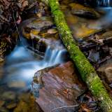 Madison County Nature Trail - January 16, 2017