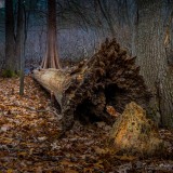 Madison County Nature Trail - Huntsville, Alabama