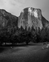 Yosemite Redux
